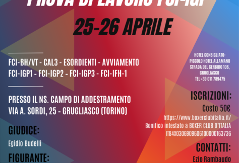 Locandina Prova di lavoro FCI-IGP
